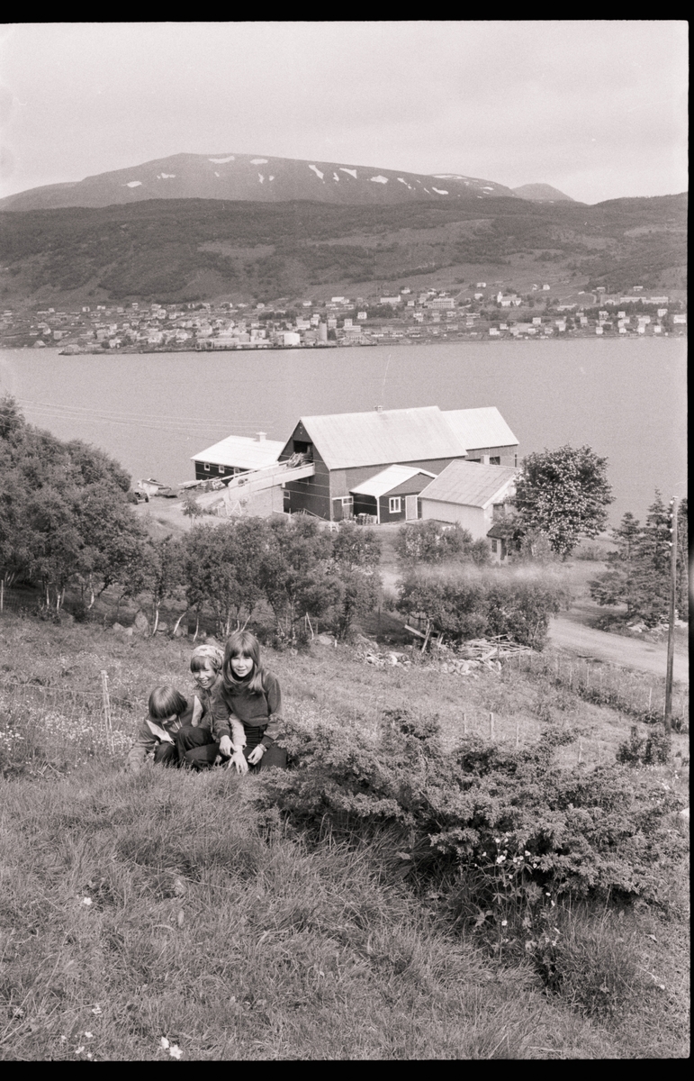 Tre jenter i en bakke ovenfor et gårdsbruk. Borkenes i bakgrunnen.