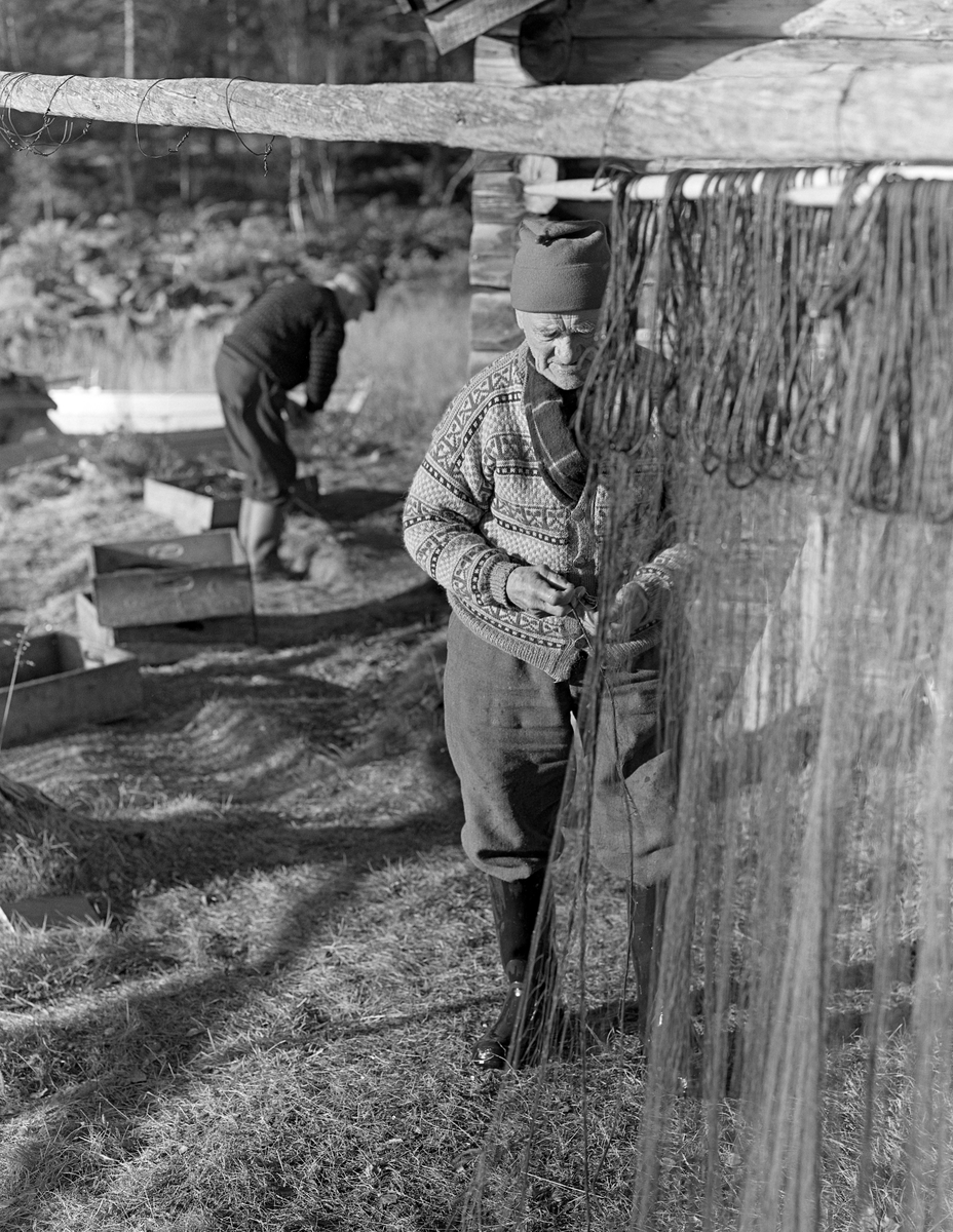 Joseph Bakken (1898-1989) greier garnene som ble brukt under sikfiske ved Kløvsteinen litt sør for Kløvstenodden på innsjøen Femunds vestside. Joseph og sambygdingen Jo Bakken (1904-1978)  fisket med garn i dette området når fisken trakk inn på grunnene langs land for å gyte. Nytrukne garn ble lagt i trekasser og fraktet i båt til Jotbua, der fangsten ble båret i land. Så tok Joseph og Jo garnkasse for garnkasse, løsnet fisken og tredde maskeveven like under overtelna inn på en pinne - ei «nettstikke». Garna på nettstikkene ble skylt i vannkanten og hengt til tørk på et stativ nord for fiskebua. Det er det siste leddet i denne prosessen vi ser på dette bildet, Deretter kunne Joseph og Jo rense fisken, som de hadde samlet i de kassene garna hadde ligget i. Fotografiet ble tatt høsten 1978 ved Jotbua i Tufsingdalen, der Joseph og Jo holdt til under sikfisket. Denne lokaliteten ligger i Os kommune i Hedmark.