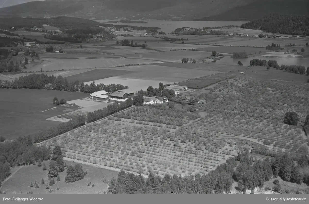 Rytteråker gård ligger ved Tyrifjorden. Flata og Smiujordet