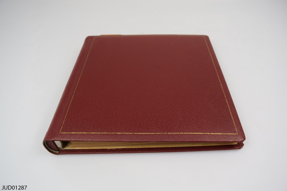 Rött album med monterade reprofotografier av Olga Raphaels konst.