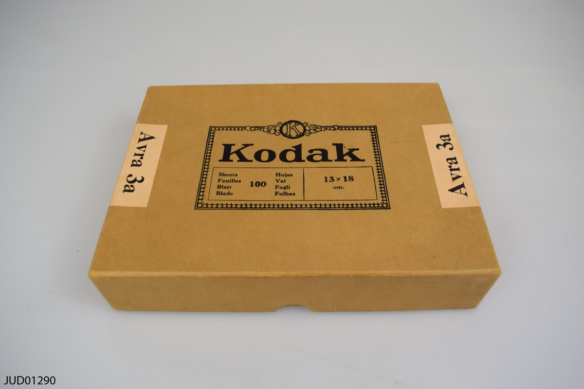 Pappersask med fyra äldre glasnegativ och en daguerrotyp med motiv av Geskel Salomans konst.