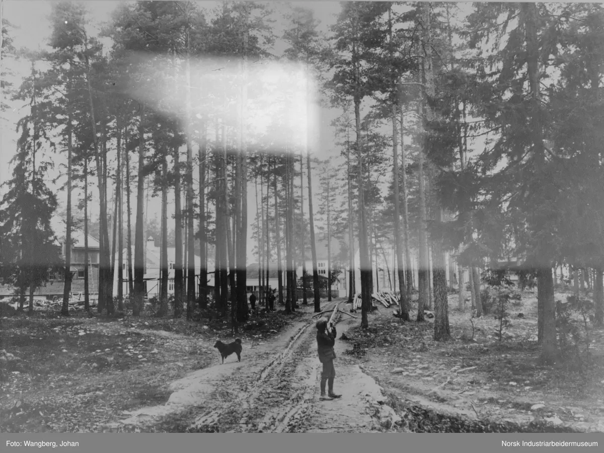 Gutt med armbrøst stående i skog. Hund stående ved siden. Bebyggelse i bakgrunnen.