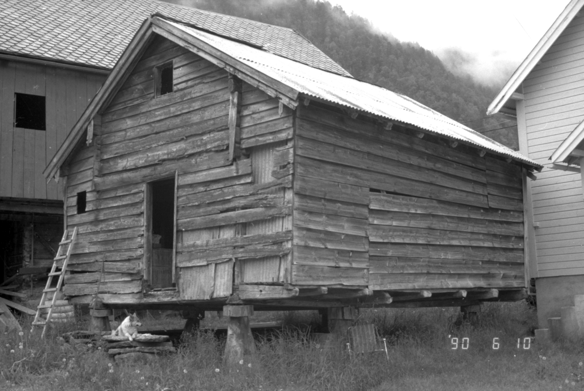 Dokumentasjonsbilder i serie av stabburet til Edvin Overå, Liabygda, før nedtaking og flytting til Sunnmøre Museum.