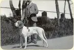 Georg Nyström med hund