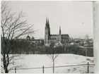 Vy mot Uppsala domkyrka från Slottsbacken