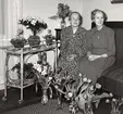 Trollhättan. Augusta Andersson (född Pettersson) och Elsa Andersson