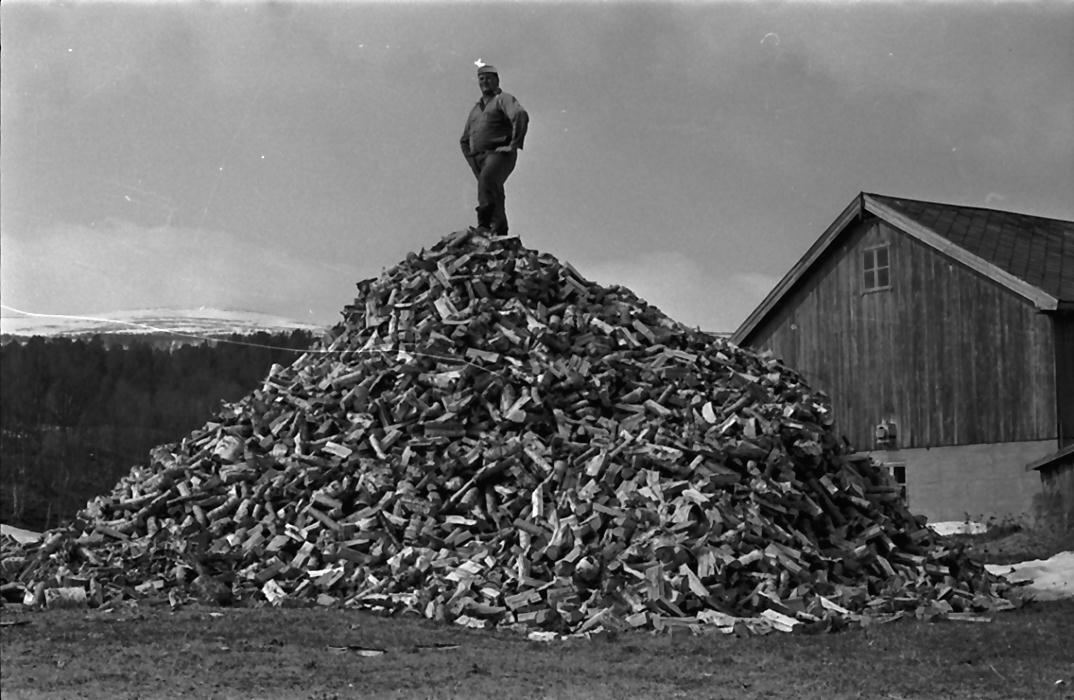 Vedhaug - Magne Bekken Narjord. 