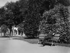 Bilder från Linköping tidigt 1900-tal. 

Arvid Augustin Eriksson fotograferade i Linköping under åren 1910-1950, han föddes i Linköping 1887-08-27. Arvid arbetade som frisör och drev sin egen frisersalong på Storgatan 13-15. 

Fritiden ägnade han åt segling och foto och han spelade även dragspel. Med dragspelet underhöll han ibland på fester, vintertid spelade han vid Linköpings skridskobana.