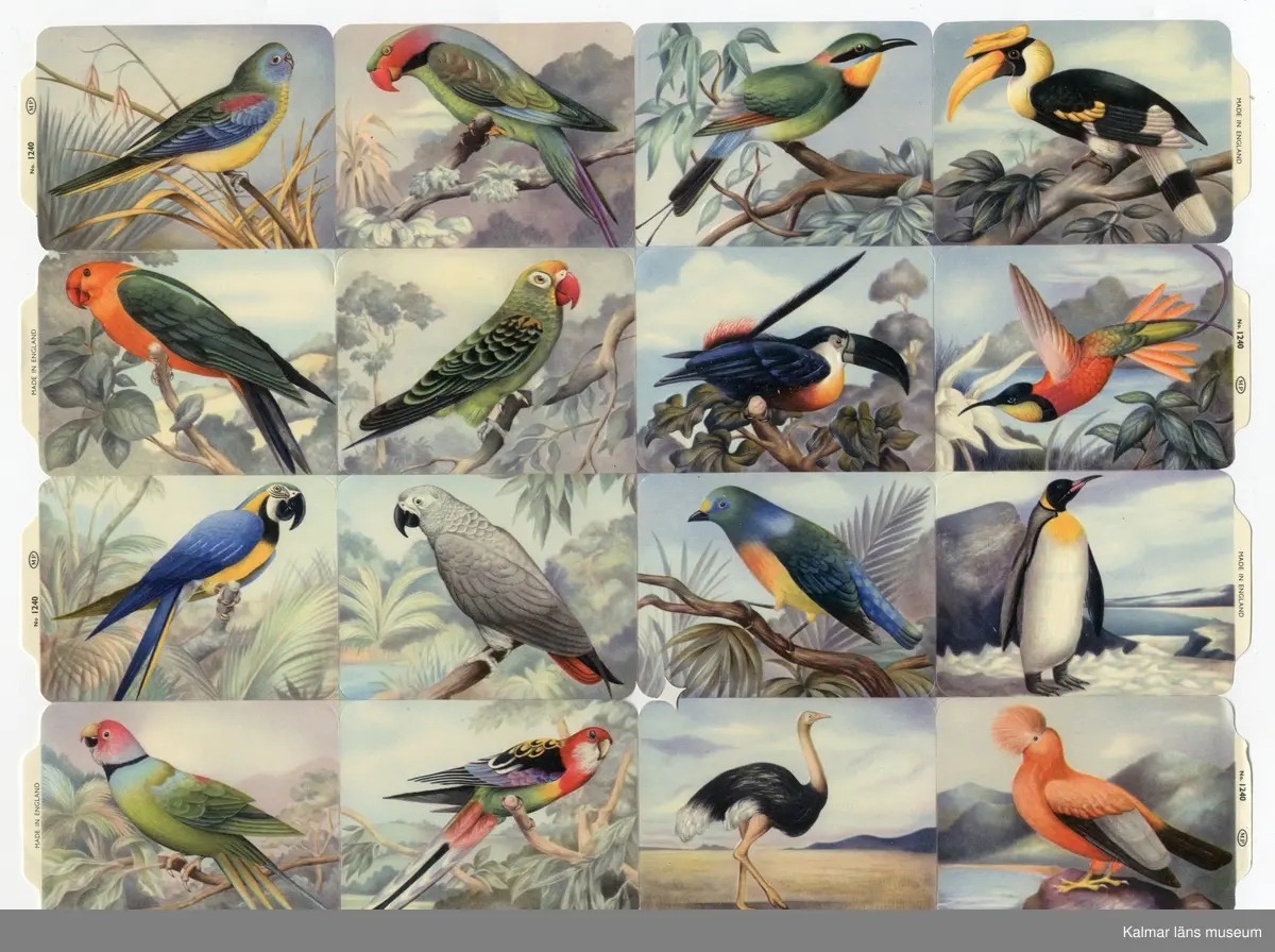 Exotiska fåglar; papegoja, pingvin, struts m.fl. 16 olika motiv.
