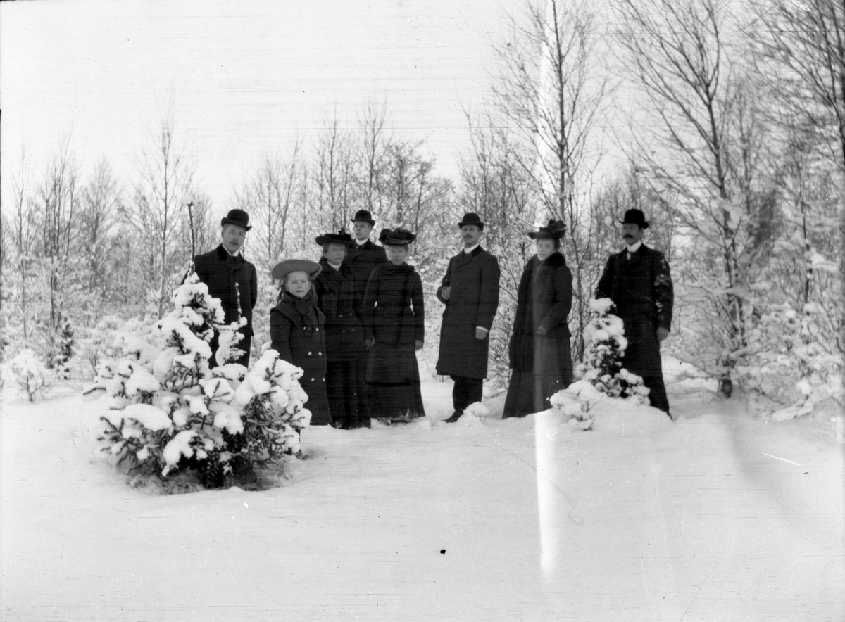 Daretorpsbor ute i snön