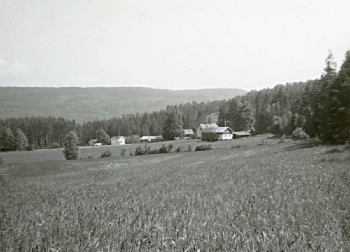 Smedstadgrenda 1982, nærmaste garden er Brukarmyra 56/16.  Bak ligg Myra. 