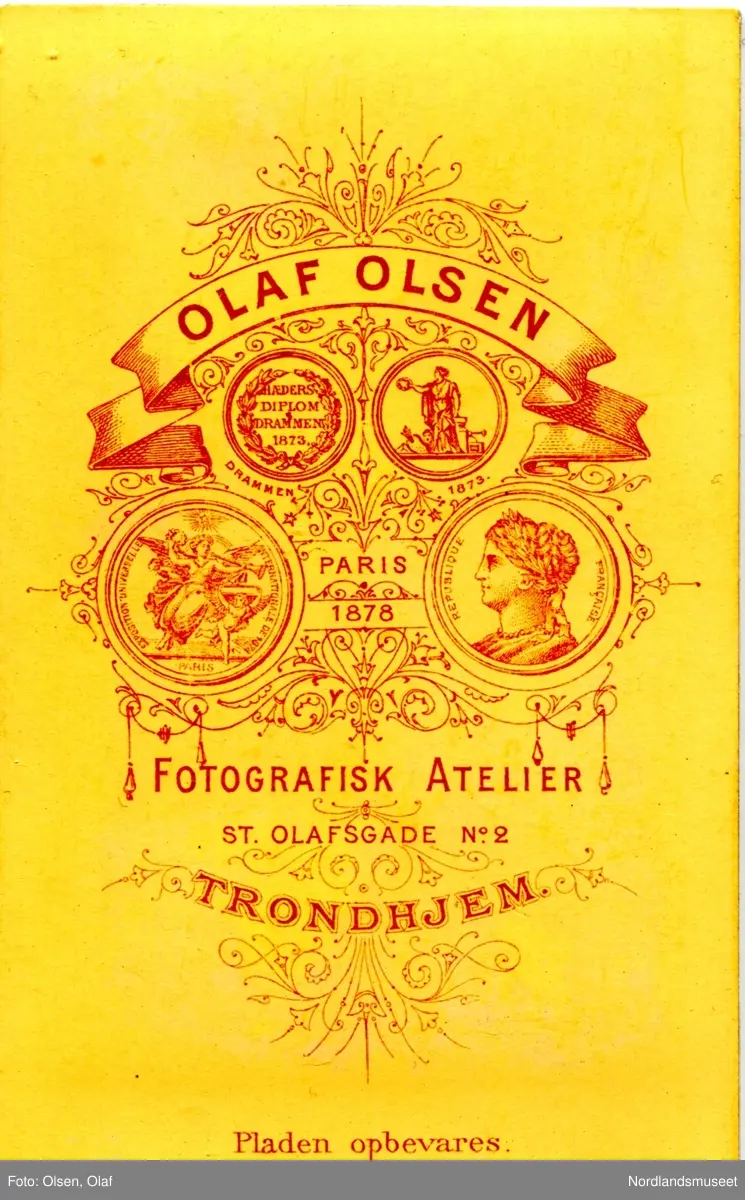 Portrettbilde av en ung mann med todelt skjegg. Lars Olaus Tomas Johannessen Fremmerlid