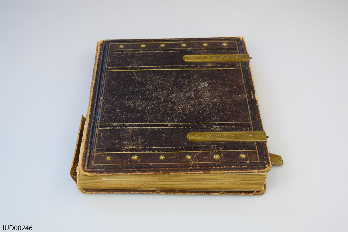 Fotoalbum i skinn med guld- och metalldekor. Porträtt i visitkortsformat.