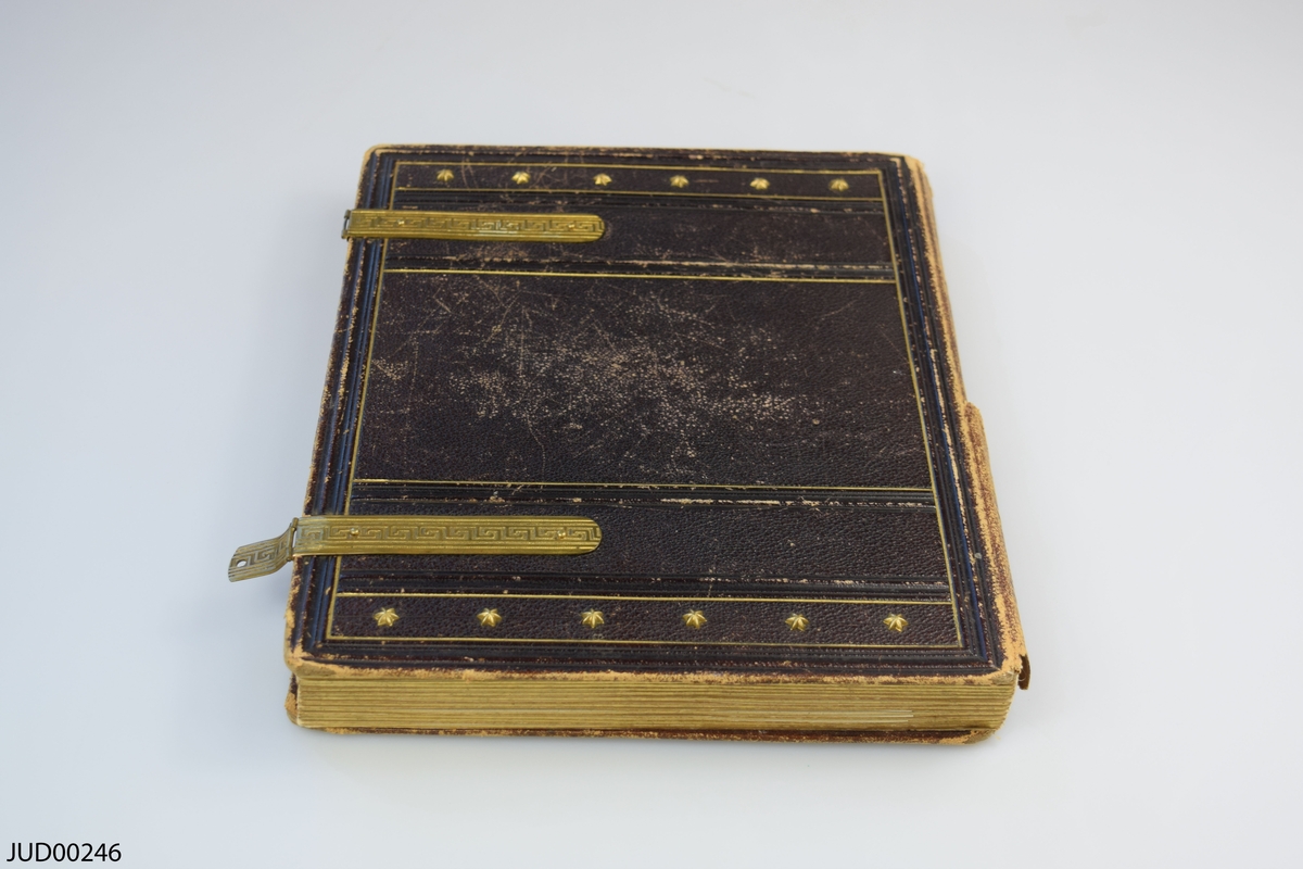 Fotoalbum i skinn med guld- och metalldekor. Porträtt i visitkortsformat.