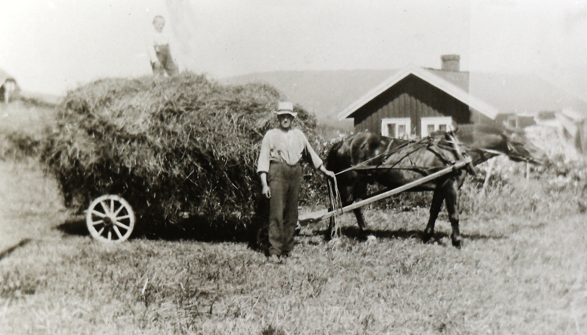 Høykjøring Berg gård i bakgrunnen t v. Finn Haug f.1918 på lasset, Peder Haug (1886-1984) med hesten.