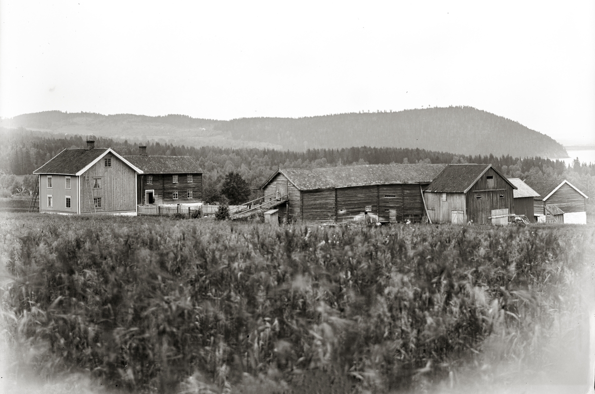 Ringsaker, Furnes, Jessnes, Søndre Jessnes gård, hovedbygning, driftsbygning, Furuberget i bakgrunnen,