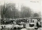 Karneval, Uppsala 1900