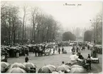 Karneval, Uppsala 1900