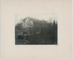 Skytteanska trädgården, Uppsala