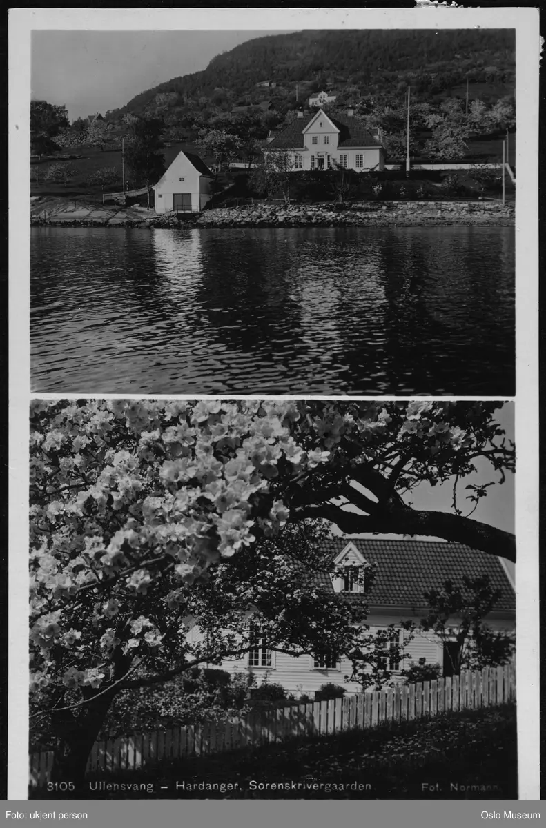 todelt motiv: sorenskrivergård, bolighus, naust, frukthage, fjord