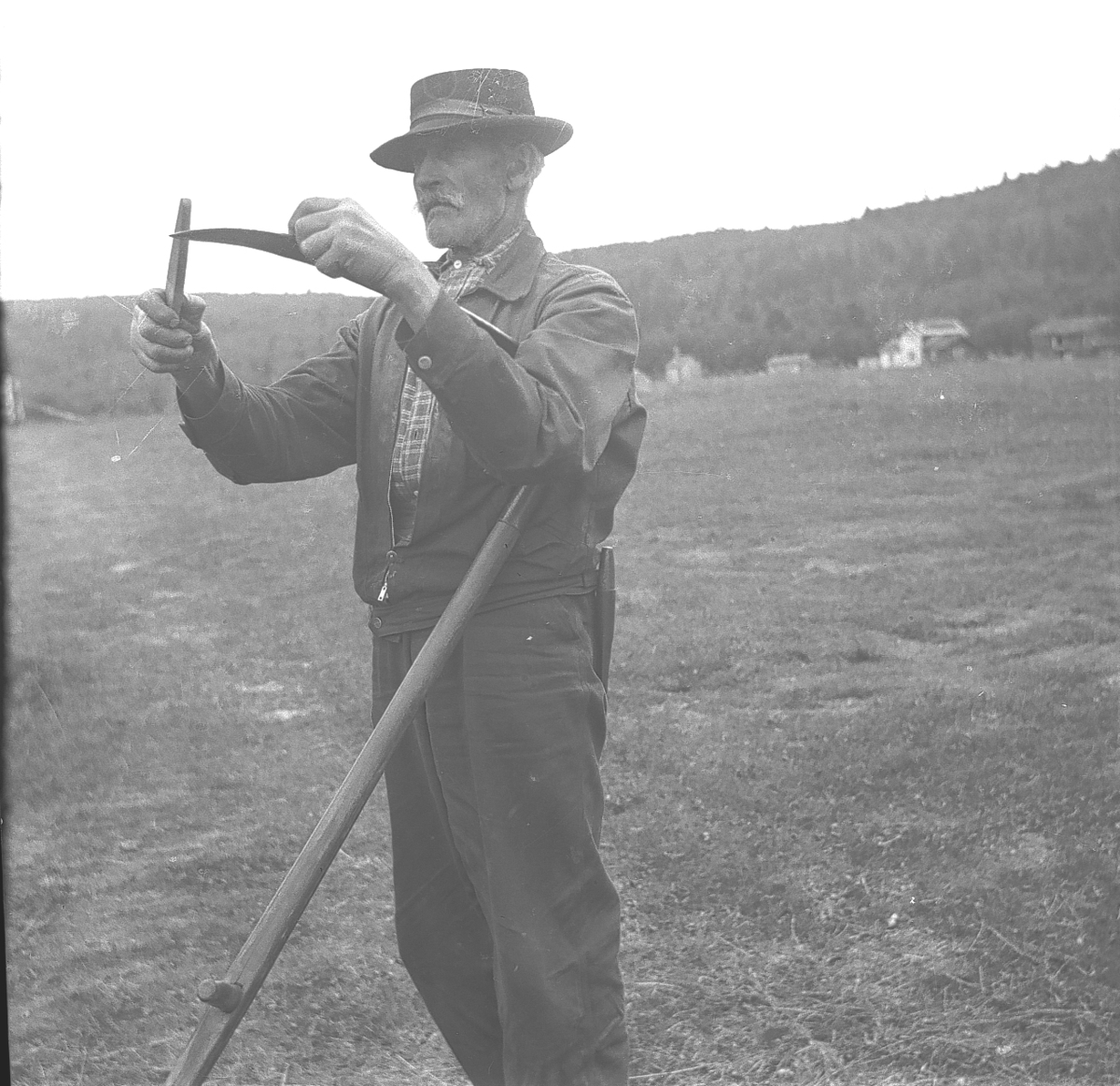 Kroken Gård, Haldo Skårsmoen, jordet, hjå, gras,