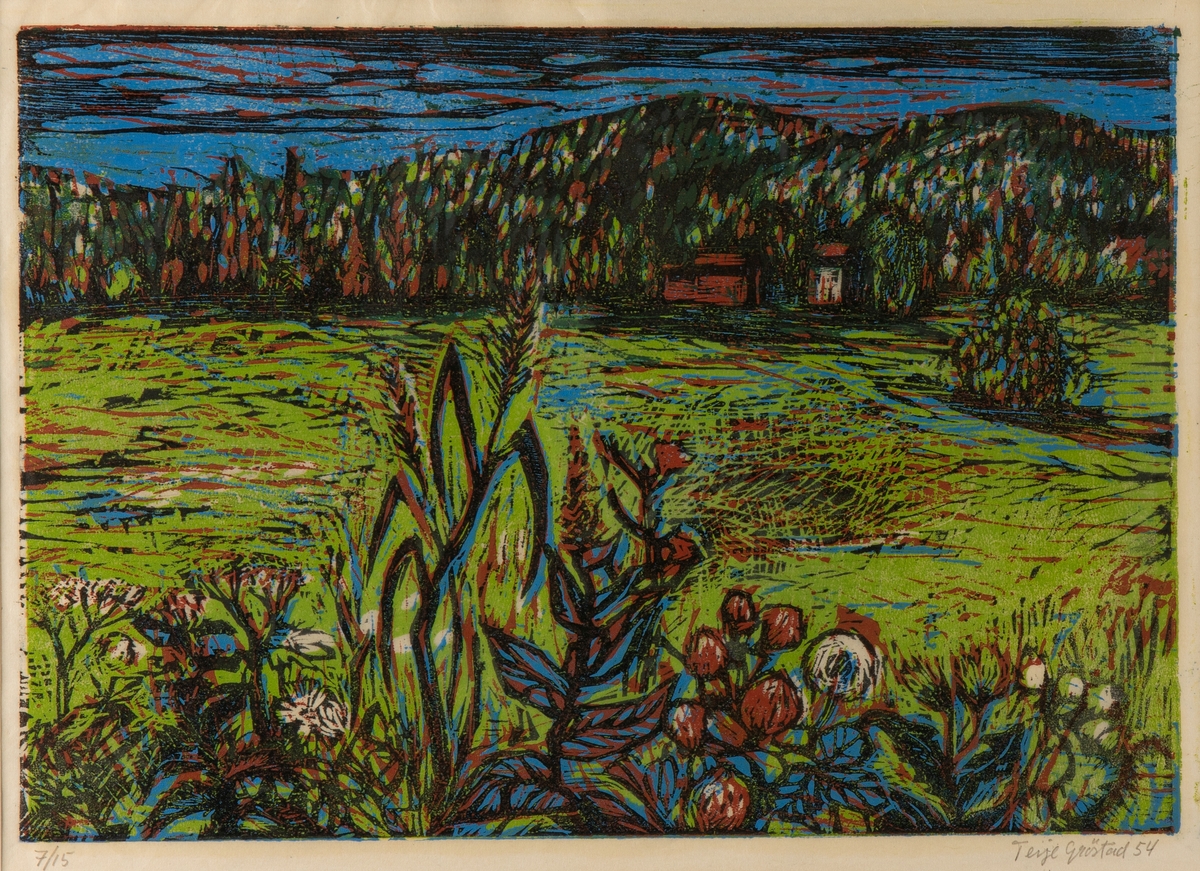 Sommernatt [Fargetresnitt]