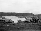 Trysunda. Fjärrfiskeläge från 1600-talet med kapell från 1654 och kyrkogård. Karaktäristisk bebyggelsestruktur med strandnära bygata som särskiljer en tätt samlad rad med kokhus och sjöbodar från gistvallar och ekonomibyggnader för djuren. Till höger hamnfogden Linus Lundström tvåvåningshus, byggt 1903-1904 - det första dito på Trysunda. Observera märkena efter 3 stycken uppspikade feta sälskinn på sjöbodgaveln. Även utgivet som vykort av Frånbergs pappershandel Örnsköldsvik