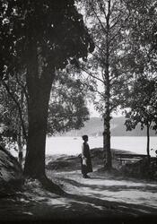 Fra Badeparken i Drøbak.