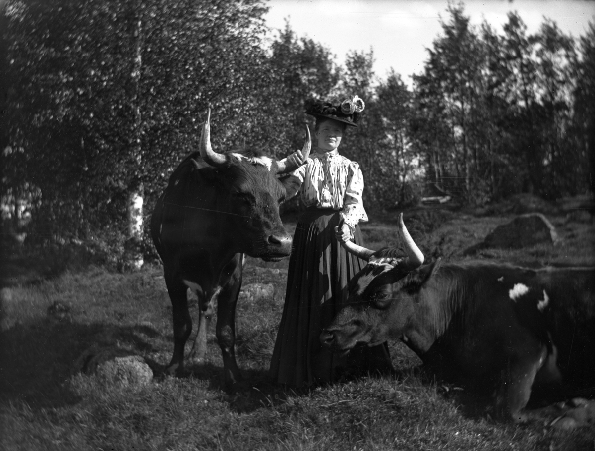 Kvinna med kreatur
