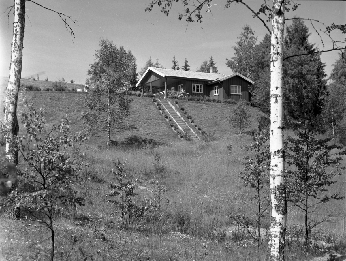 Landskapsbilde. Jorde og trær i forgrunnen, en trapp fører opp til et hus på toppen av bakken. 