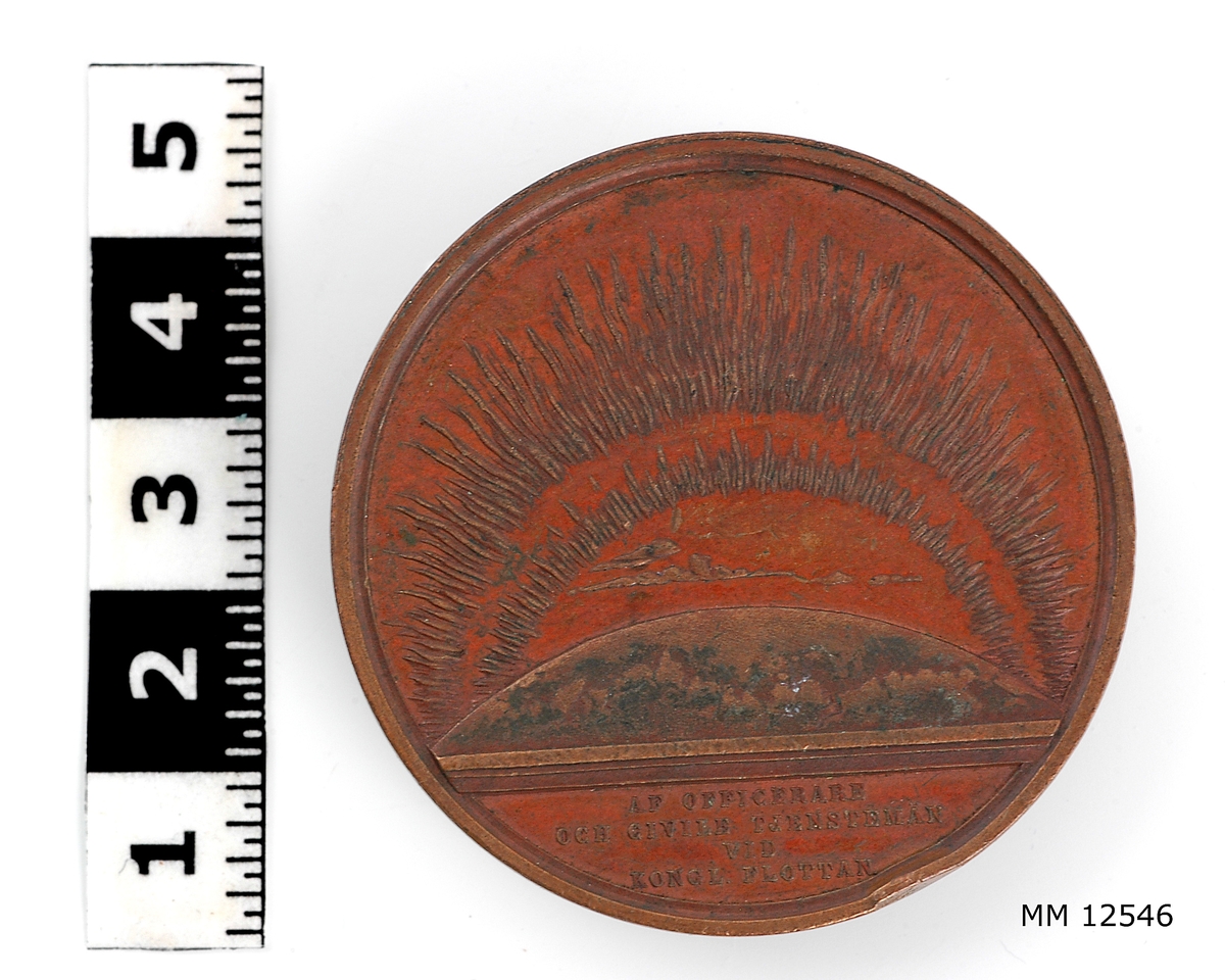Minnespenning i koppar över nordostpassagen 1878-1880 med skeppet Vega.

På ena sidan är skeppet Vega avbildat (f.d. norskt sälfångstfartyg) med texten: "Nordost-passagen fullbordad under Konung Oscar II:s regeringstid under ledning af A. E. Nordenskiöld med svenska skeppet Vega fördt af L. Palander 1878-1879"

På andra sidan finnes en sektor av jorden med norrsken samt därunder texten: "Af officerare och civila tjänstemän vid Kongl. Flottan."