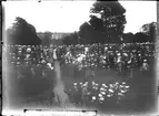 Folksamling i Botaniska trädgården, Uppsala