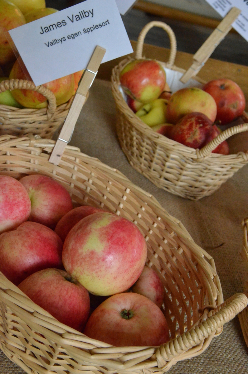 Äpplet "James Vallby" upptäcktes 2005 då det växte bakom herrgården på museet, väldigt nära husets vägg. Pomolog Håkan Svensson tittade på det 2012 och tyckte att det liknade ’James Grieve’ men att det inte är det, därav namnet. Det är en kärnsådd eftersom det kommer två stammar från marken. 2015 tittade pomolog Mattias Iwarsson på det och han tyckte att det var mest likt 'Särsö'. Möjligtvis kan det ha uppstått efter ”städningen” efter de äppeldagar och utställning som var i herrgården från 2001 och några år framåt. Det är ett gott äpple med saftigt fruktkött med syrlig sötma. Arbete pågår med att beskriva sorten och välja ett passande namn. Idag växer en ymp i fruktträdgården vid soldattorpet på museet. 


