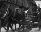 Hästtransport med nötboskap i vagnen, Drottninggatan, Uppsala