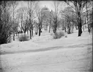 Snö i Slottsbacken, Uppsala