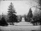 Vy över Botaniska trädgården, Uppsala