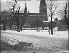 Uppsala domkyrka och Gustavianum, Uppsala