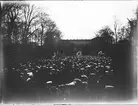 Folksamling i Botaniska trädgården, Uppsala