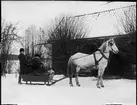 Två män i släde bakom häst, Uppland 1909