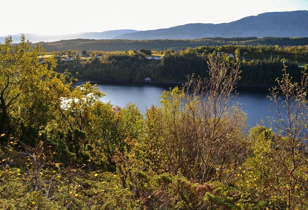 Leirfjord, Ulvangen. Ulvangsfjorden med Mariusbrygga, Øvergården og Nergården. Bildet er tatt i forbindelse med utstillingen "Landskap i endring - foto fra Leirfjord før og nå". Bilde før: LEF.F.01367