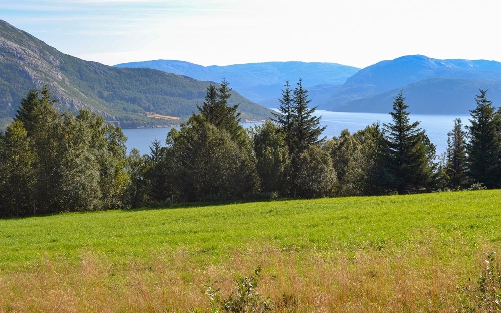 Leirfjord, Sundøy, Jystadmyrene. Jorde med trær i nedkant og Vefsnforden i bakgrunnen. Bildet er tatt i forbindelse med utstillingen "Landskap i endring - foto fra Leirfjord før og nå". Bilde før: LEF.F.00465