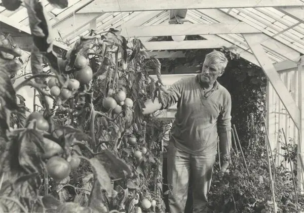 Vanförets trädgårdsavdelning. Trädgårdsmästare Lundholm i vä