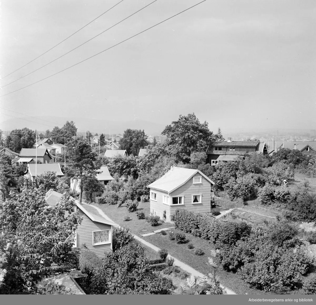 Nakholmen. Juli 1966