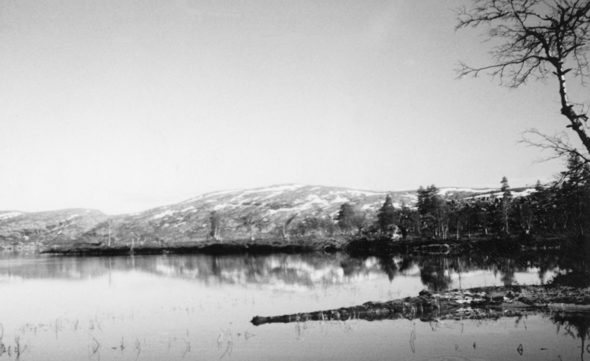 Landskapsfotografi fra fjellsjøen Rogen i Femiundsmarka. Blankt vannspeil i forgrunnen, tange med småtrær i mellomgrunnen, fjellet Rogsvola i bakgrunnen. Fotografiet er publisert i tidsskriftet Statsskog nr. 2, 1972, side 27.  Her er det brukt som illustrasjon til Th. Sandnes' stykke "Storauren i Rogen".