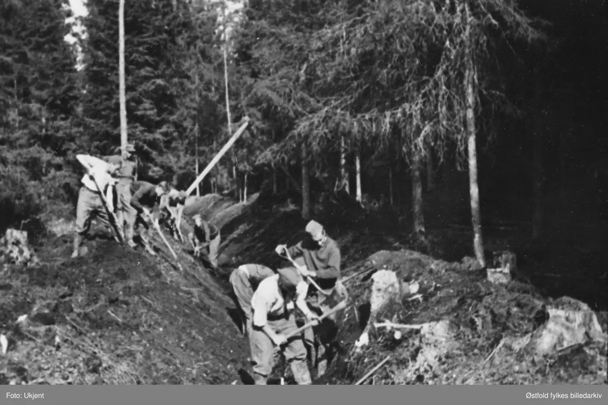Arbeidstjeneste i Varteig 1941. Grøfting i skogen ved Belsbymoen.