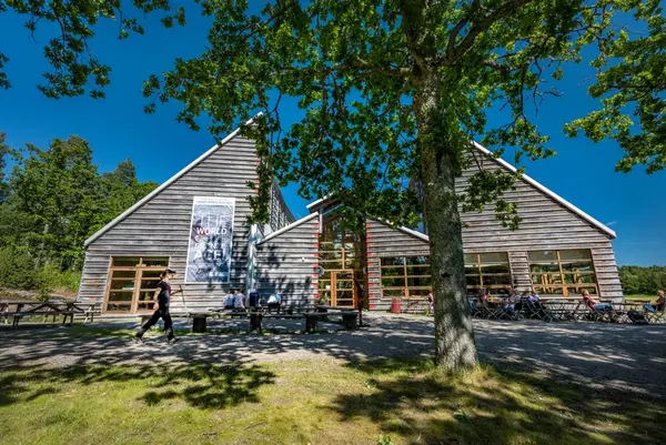Vitlycke museum