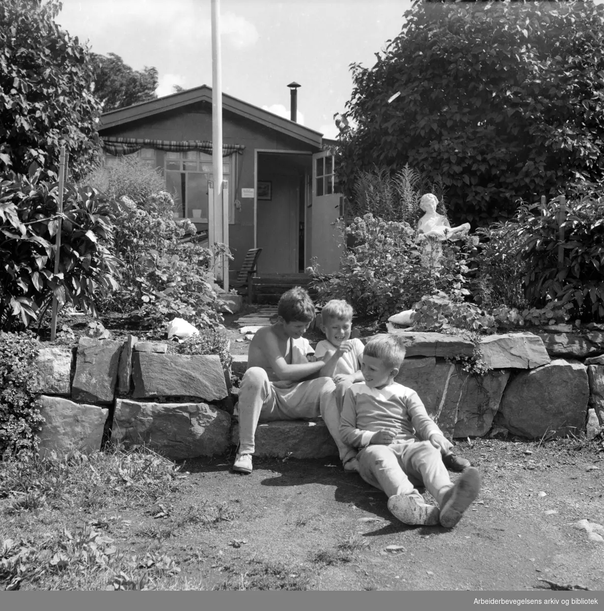 Hytteidyll på Lindøya. Ingen av hyttene er gjerdet inn. Juli 1953