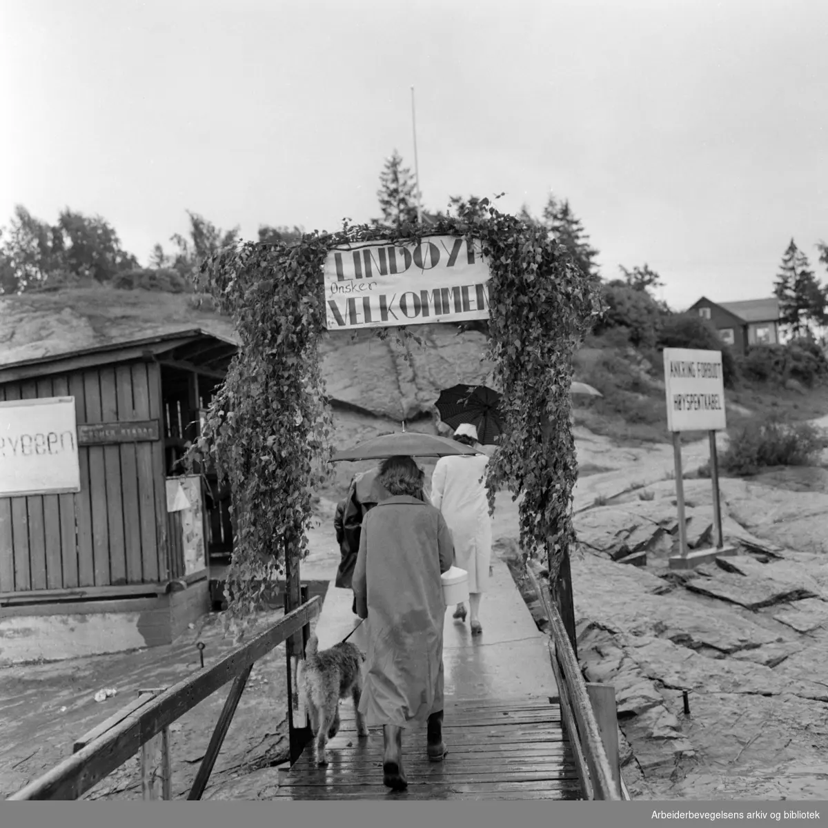 Lindøya. Lindøyafolket arrangerte øyenes fest i øsende regnvær. August 1958