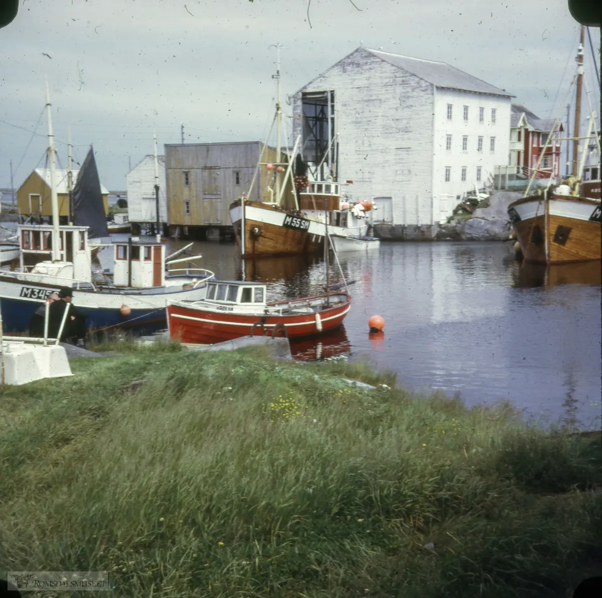 "Veidholmen".Havna med Rokstadbryggå, Veiholmen, Smøla. Rett foran ligger «Veidholm» som var en av Rokstadkarene sine tre båter. Til høyre ligger «Rødving» eid av Petter Kristiansen med fl..Holmshornbrygga (gul) er revet. Båtene rett over på andre sida av havna (ved Posten og Coop-en) ligger «Alaska» og «Balder» (rød) .