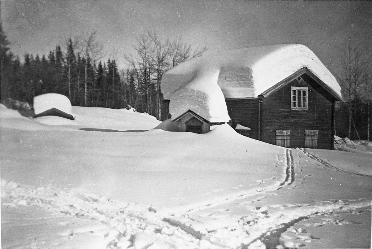Nedre Fjøslia i Rollag, snøvinteren 1951-52. Snødybde 2,3 meter.